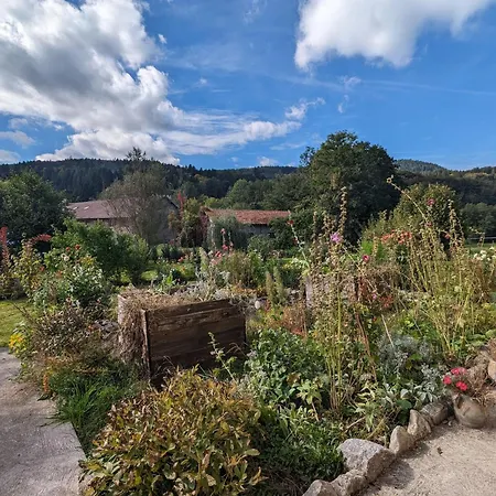 לינה וארוחת בוקר Charmante Myosotis Avec Jardin Et Dvd - Fr-1-589-665