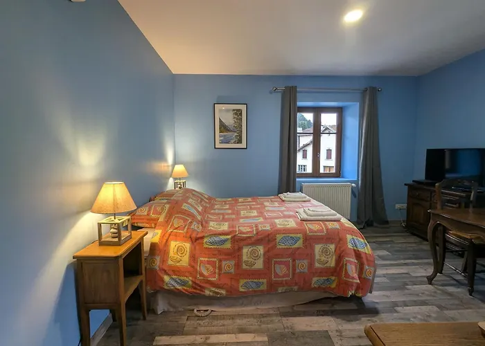 Charmante Myosotis Avec Jardin Et Dvd - Fr-1-589-665 3* 勒帕勒