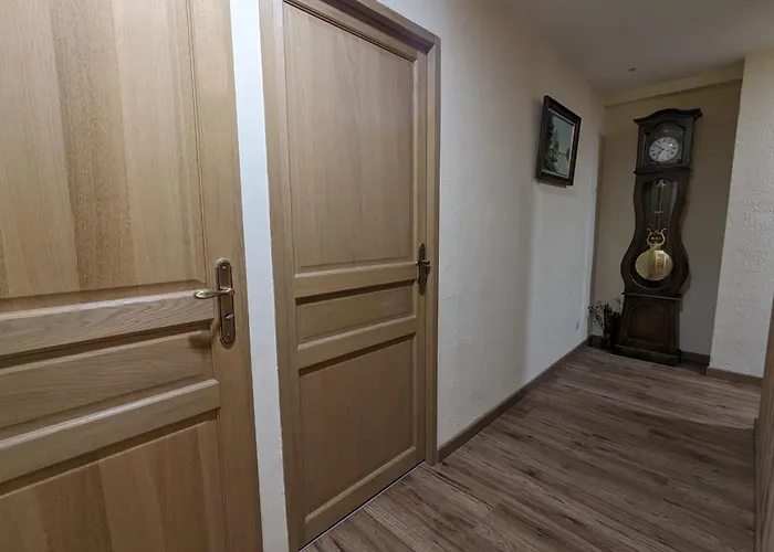 Charmante Myosotis Avec Jardin Et Dvd - Fr-1-589-665 3*