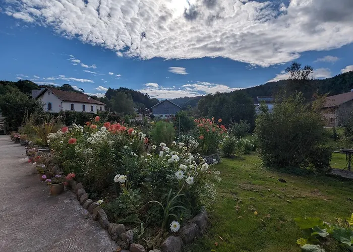 Charmante Myosotis Avec Jardin Et Dvd - Fr-1-589-665 勒帕勒